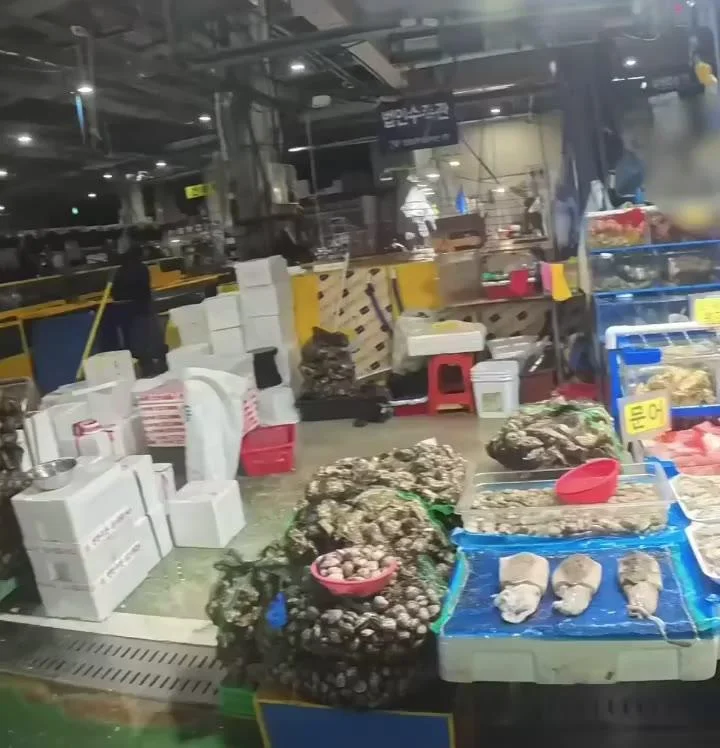 수산시장 희망편