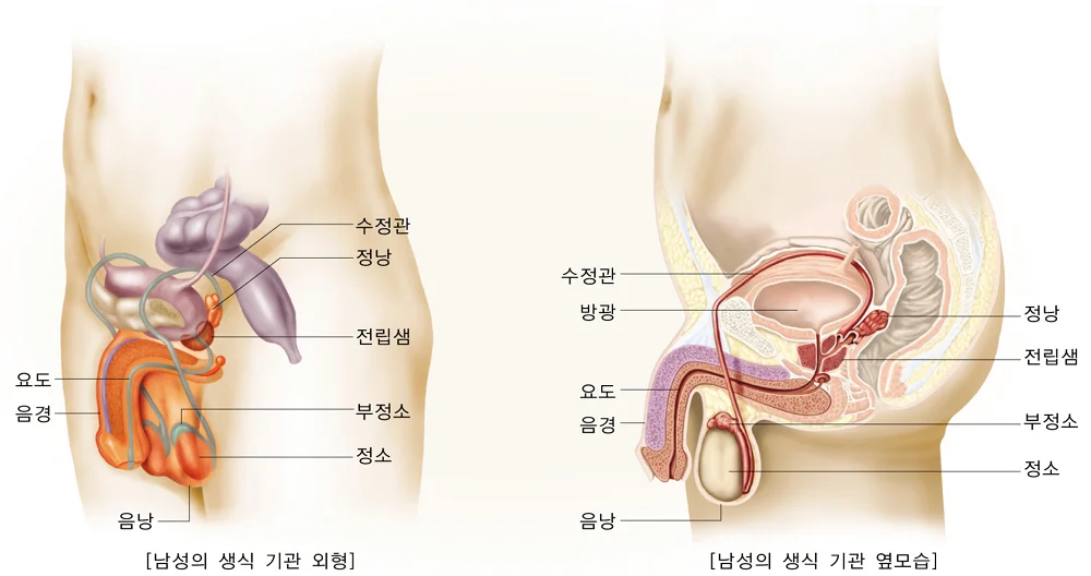 아빠한테서 나왔다는게 믿기지 않는 딸_001