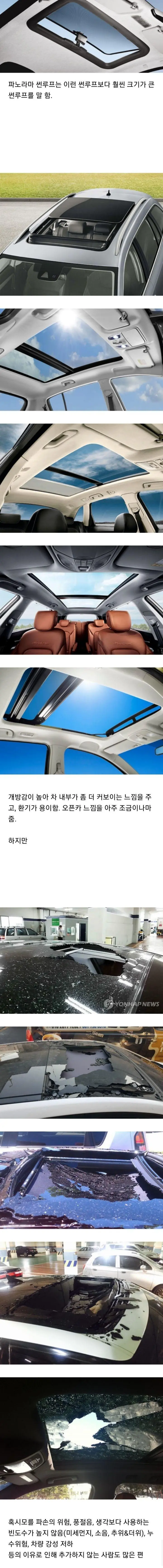 자동차 옵션중에 제일 호불호 갈리는 옵션