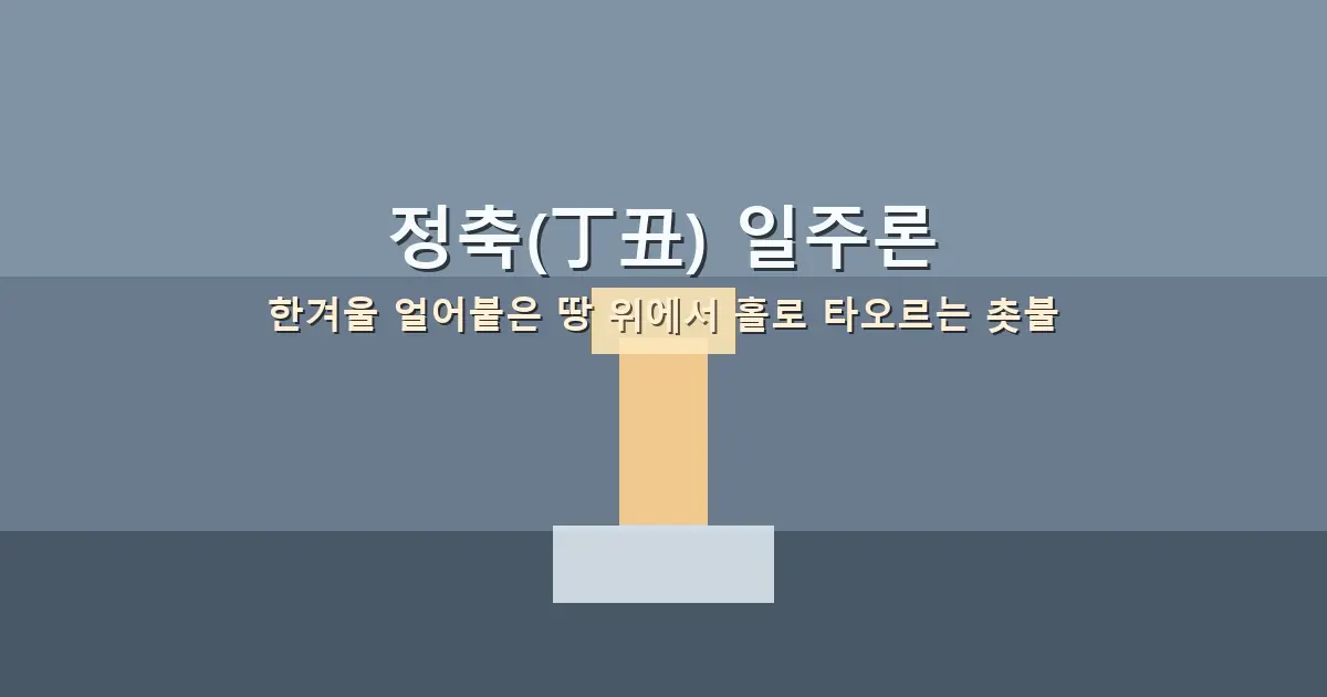 정축(丁丑) 일주론 — 한겨울 얼어붙은 땅 위에서 홀로 타오르는 촛불