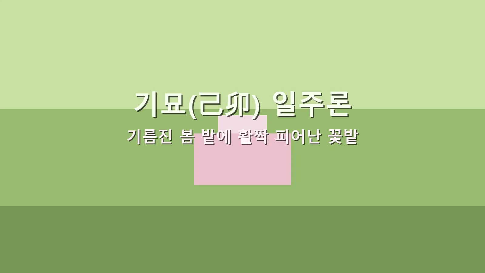 기묘(己卯) 일주론 — 기름진 봄 밭에 활짝 피어난 꽃밭을 담은 대표 이미지