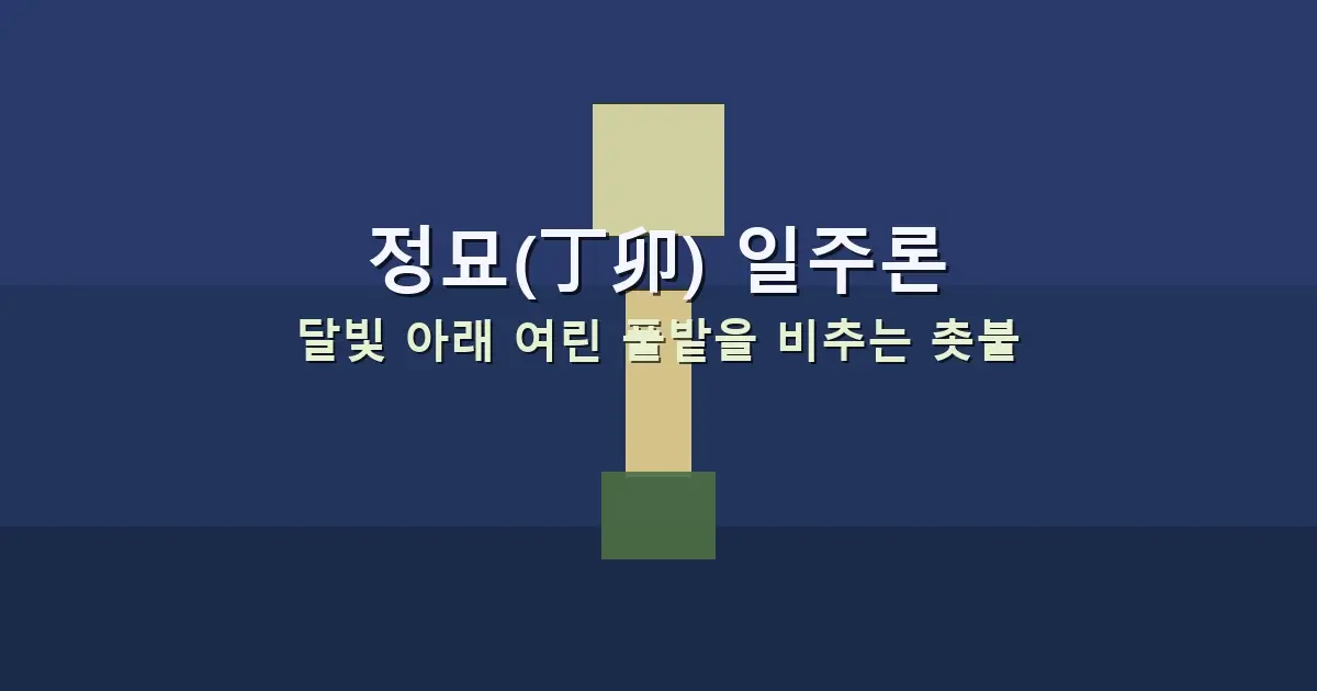 정묘(丁卯) 일주론 — 달빛 아래 여린 풀밭을 비추는 촛불