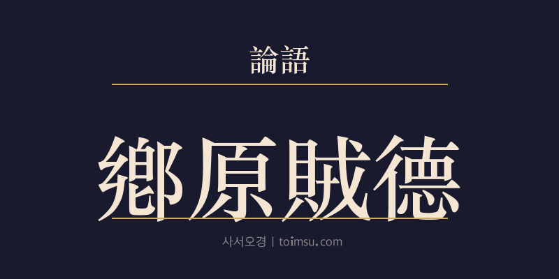 논어 양화 13장 향원적덕(鄕原賊德) 대표 이미지