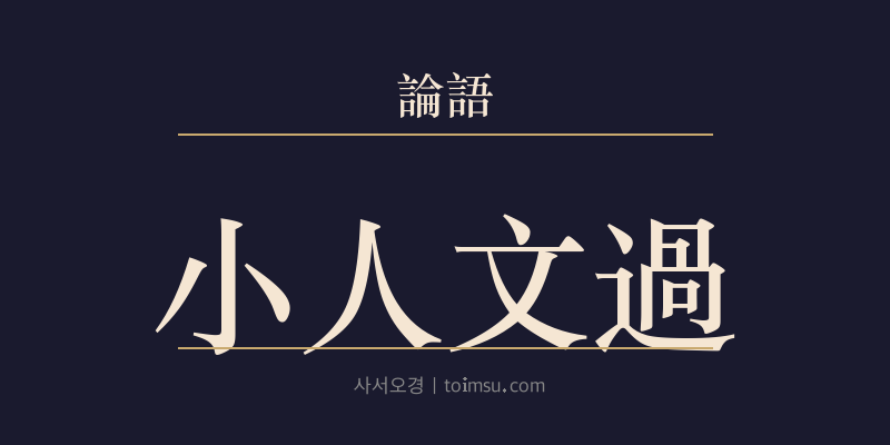 논어 자장 8장 소인문과(小人文過) 대표 이미지