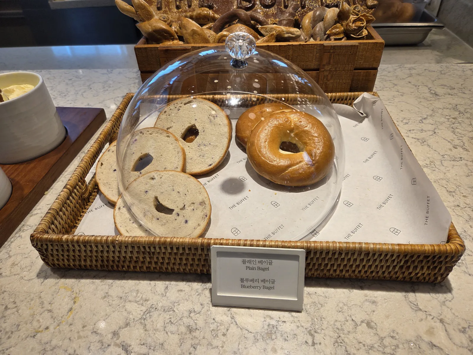 플레인 블루베리 베이글 유리 돔 디스플레이