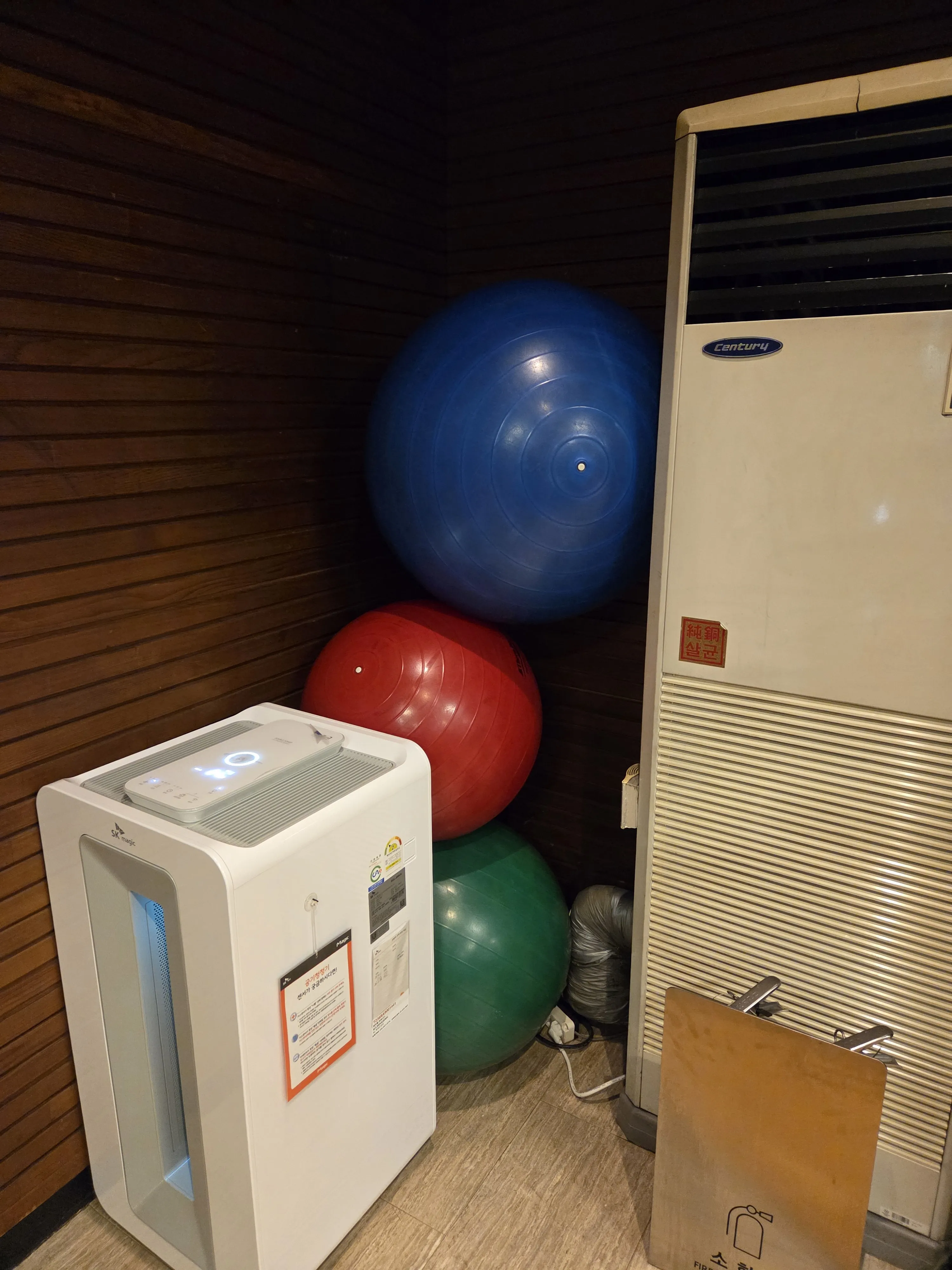 짐볼 3개와 UV 살균기