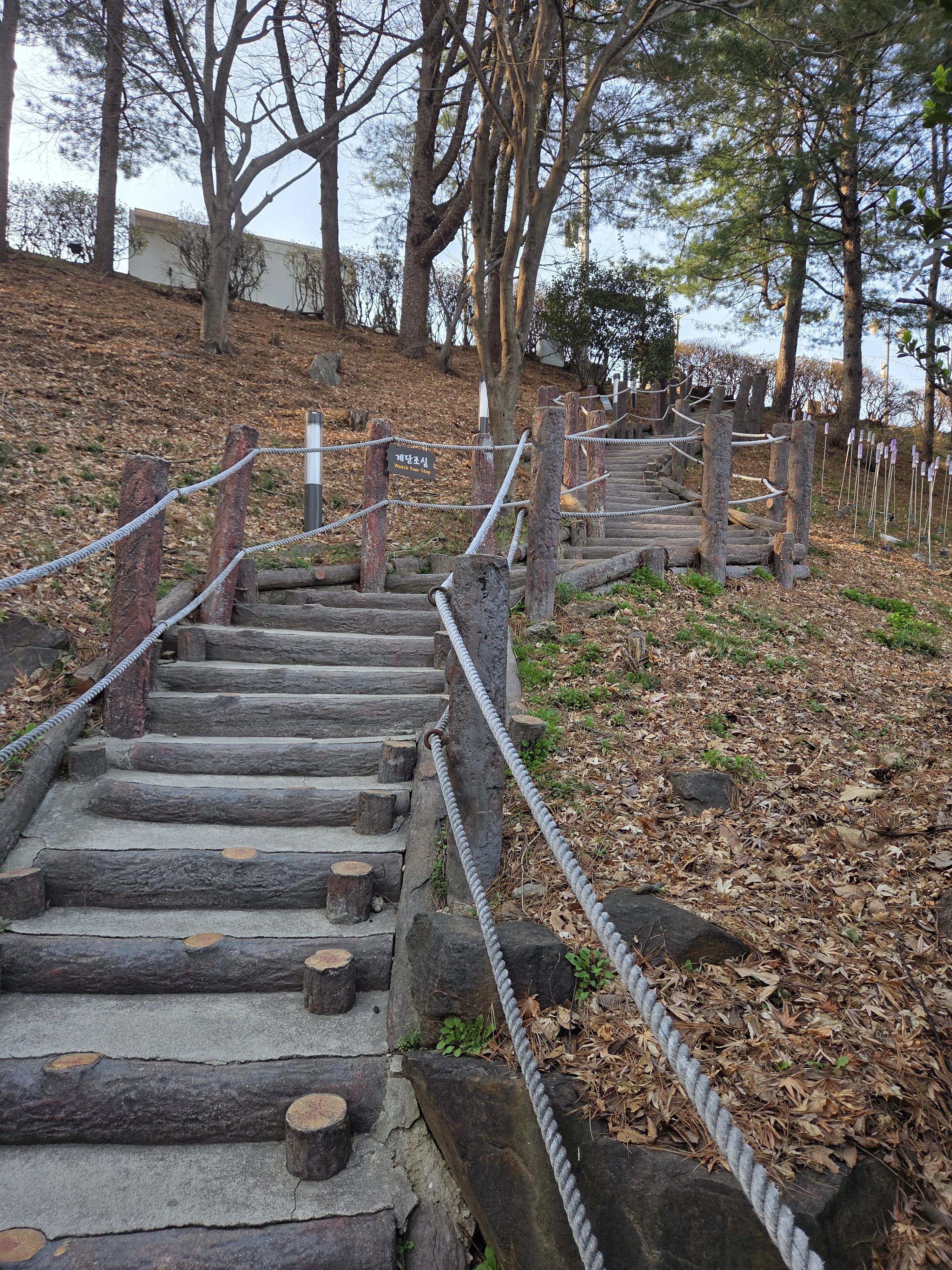 통나무 난간 나무 계단 산책로