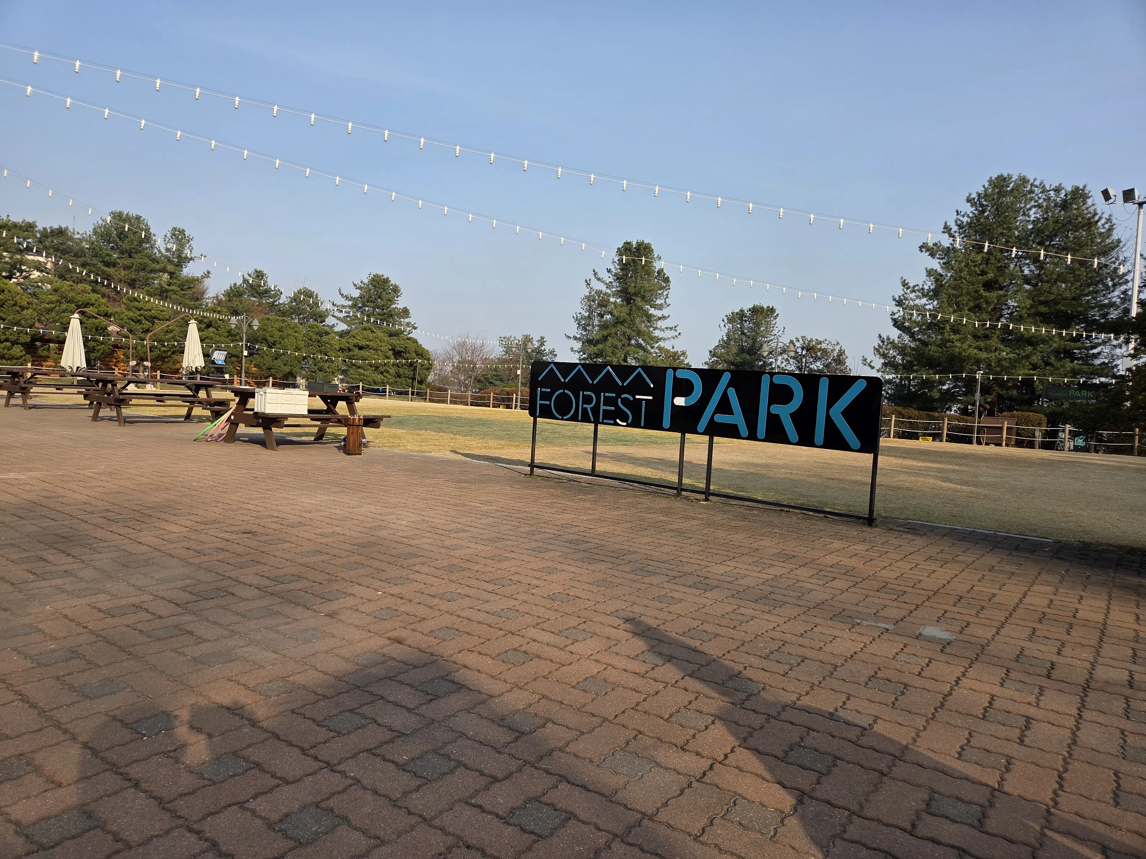 FOREST PARK 검정 사인과 광장 전경 전구 조명