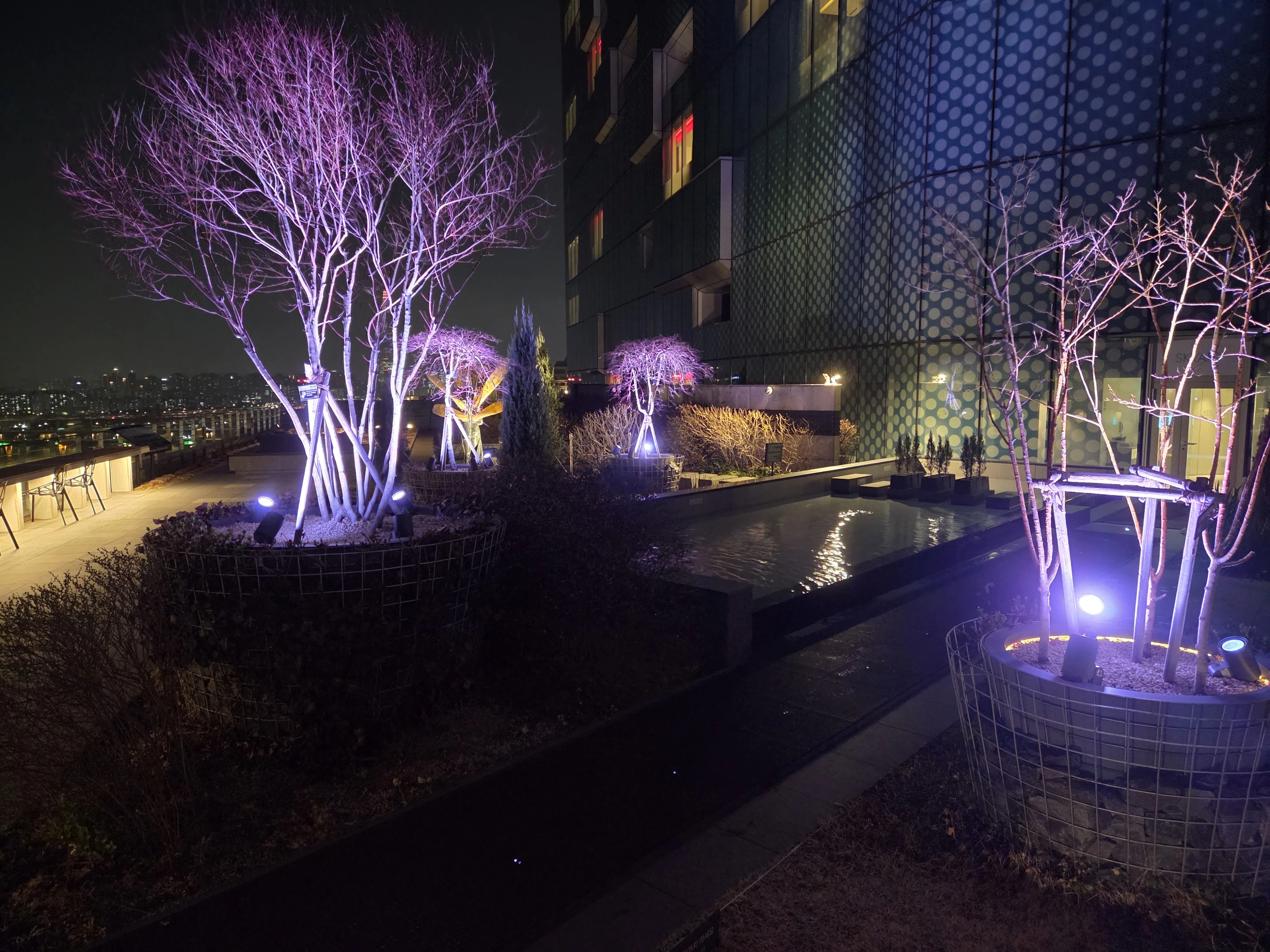 보라색 LED 조명 나무와 수경 시설 야경
